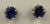 Yellow Gold 5.5mm Ceylon Sapphire Earrings