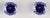 WG 6mm Tanzanite Earrings